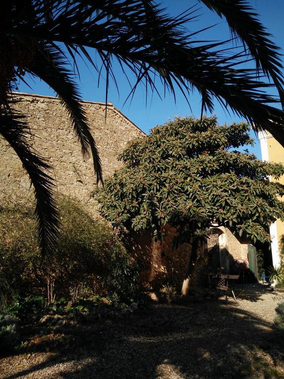 La Maison Des Palmiers Homps  Exteriér fotografie