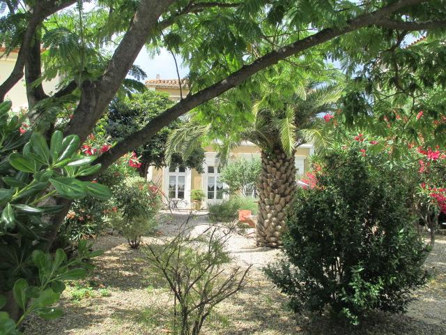 La Maison Des Palmiers Homps  Exteriér fotografie