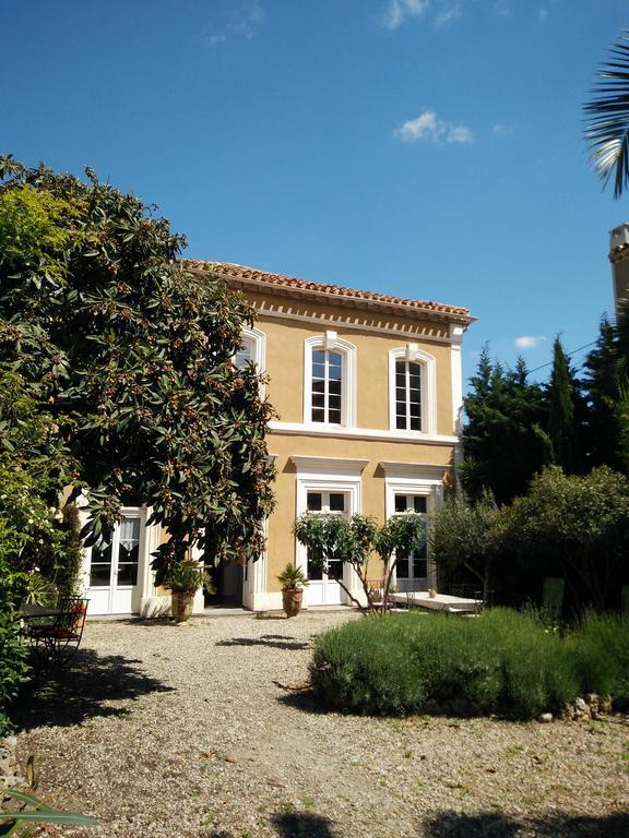 La Maison Des Palmiers Homps  Exteriér fotografie
