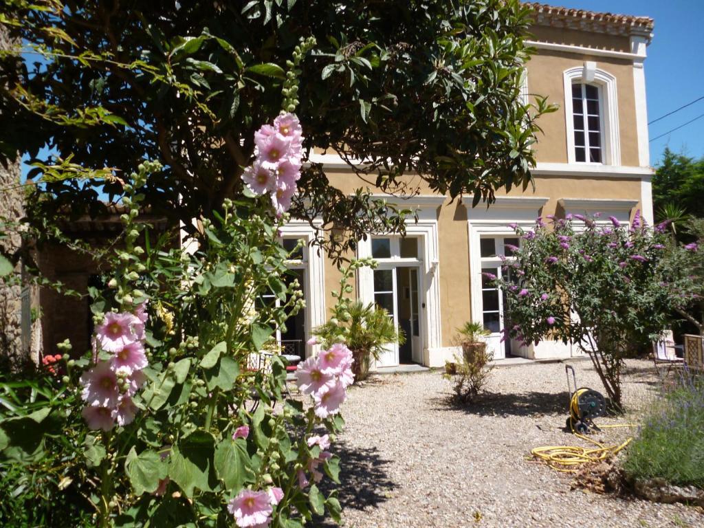 La Maison Des Palmiers Homps  Exteriér fotografie