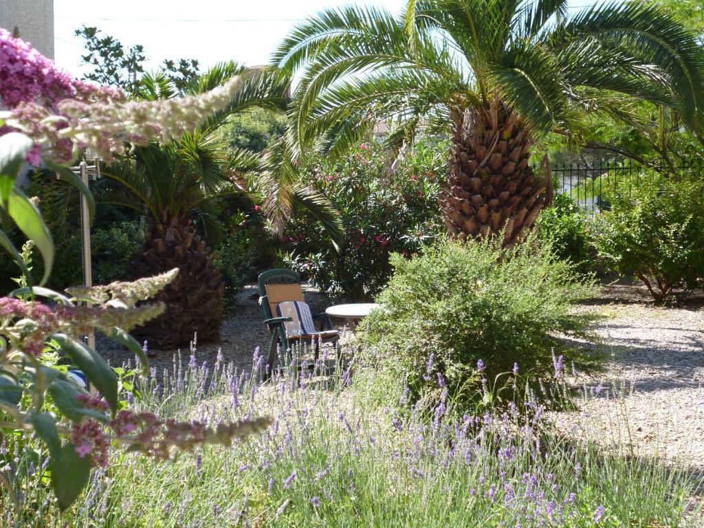 La Maison Des Palmiers Homps  Exteriér fotografie
