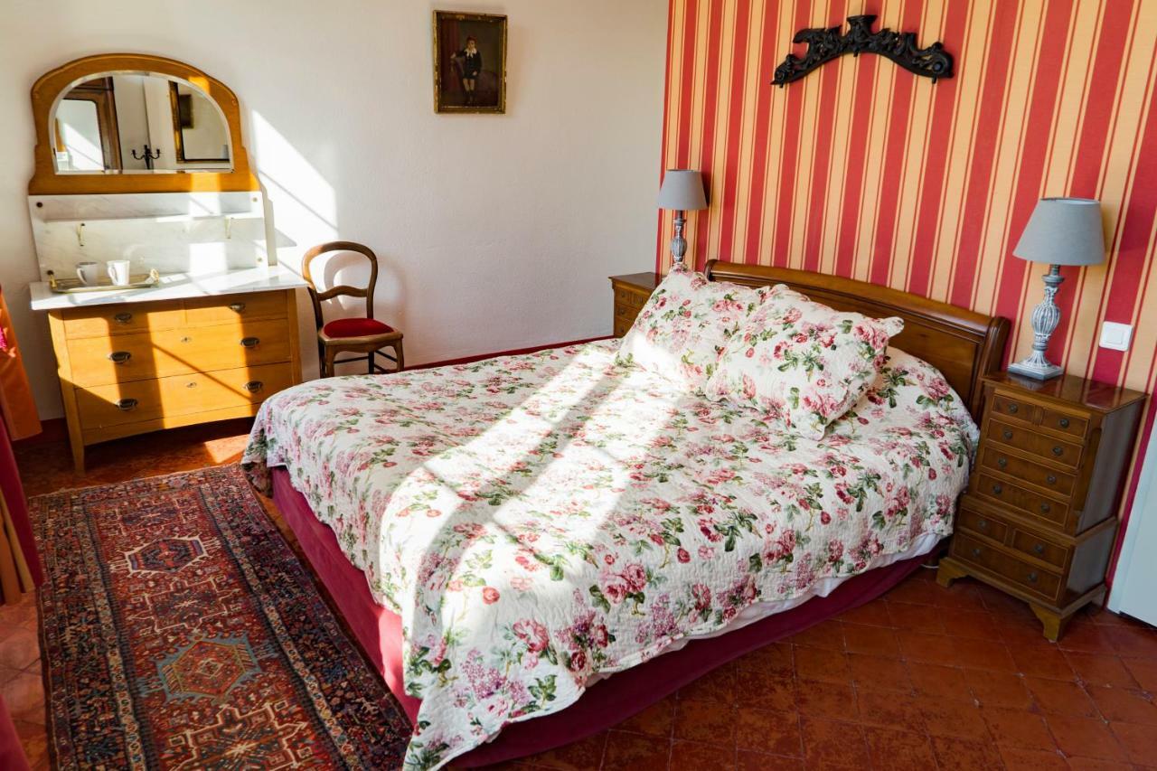La Maison Des Palmiers Homps  Exteriér fotografie